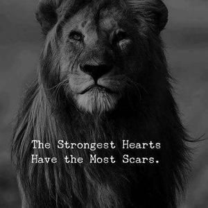 Meet your Posher, Jamey